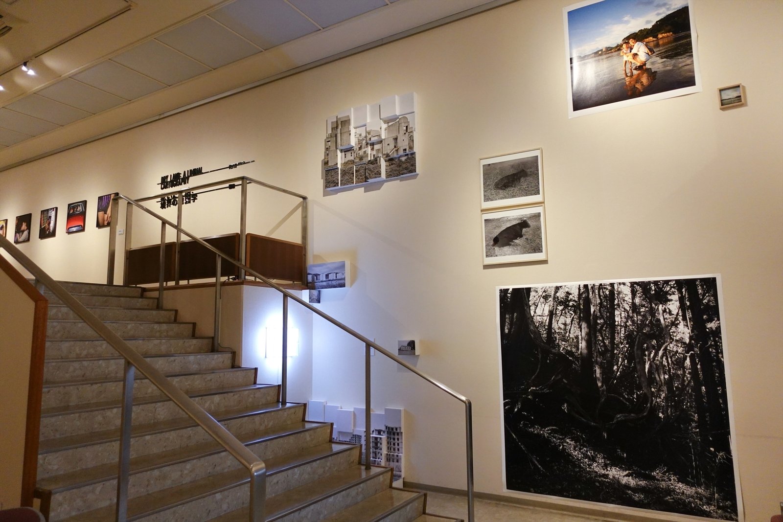 Dry Land · 階段と壁面に広がる展示