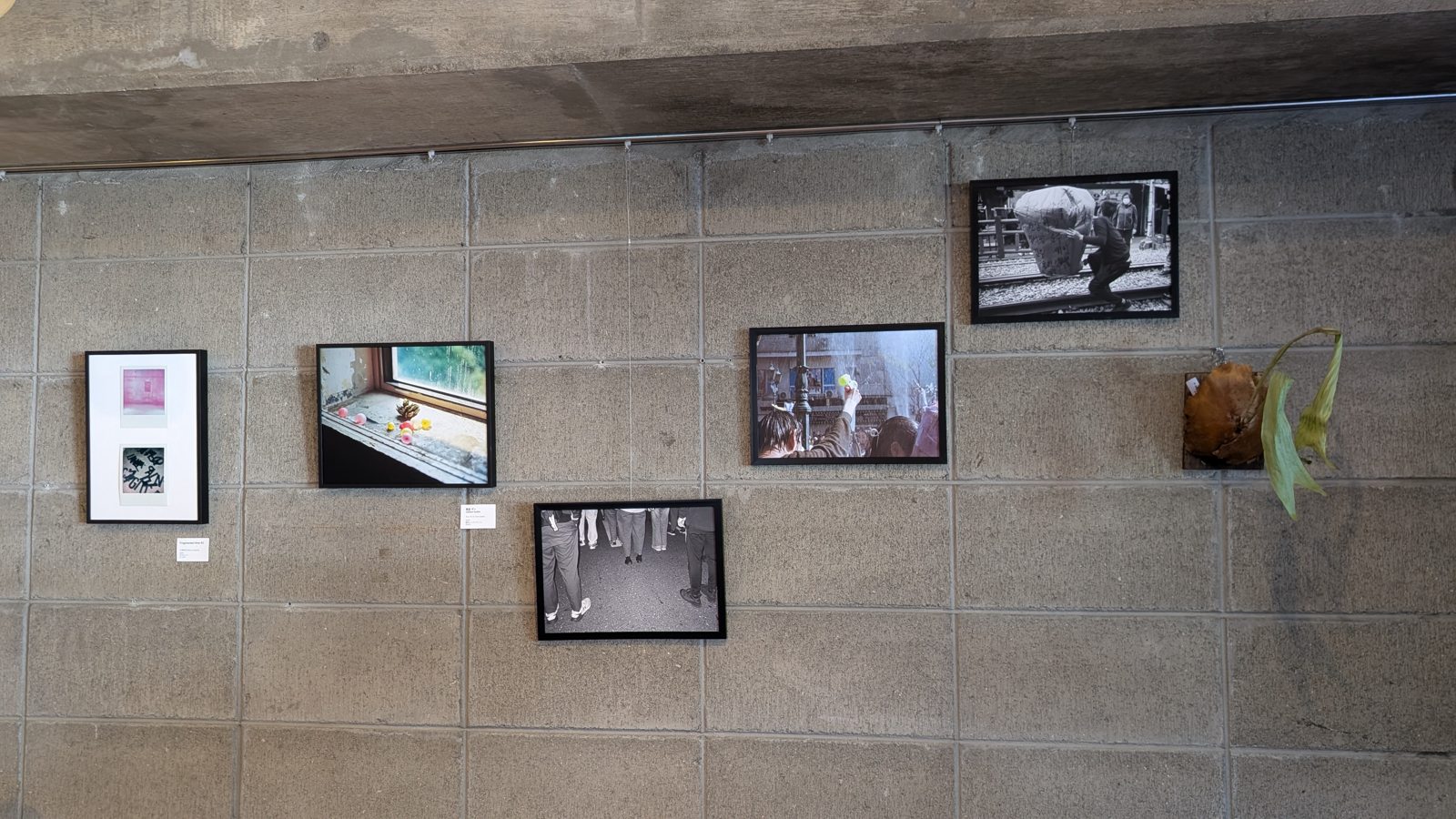 NINI ROOM · 壁面展示全景